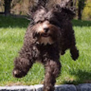 Meet your Posher, Susannah smith